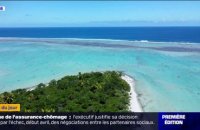 Un chercheur va s'isoler 8 mois sur un îlot de Polynésie française pour observer un oiseau rare