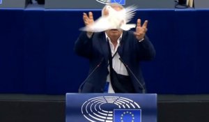 Parlement européen : un député sort une colombe de sa poche et la lâche dans l'hémicycle