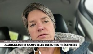 Crise agricole : pour Amélie Rebière, «les normes et l’administration tuent les agriculteurs»