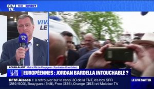 Européennes: "L'objectif est d'être largement devant la candidate de M. Macron" assure Louis Aliot (maire RN de Perpignan)