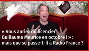 « Vous auriez dû licencier Guillaume Meurice en octobre ! » : mais que se passe-t-il à Radio France ?