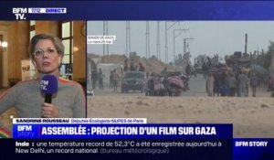 Sandrine Rousseau (Les Écologistes): "Je demande à la France de se positionner, de reconnaître l'État de Palestine"