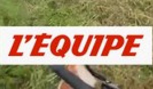 La 5e étape du Dauphiné neutralisée après une chute collective, - Cyclisme - Dauphiné