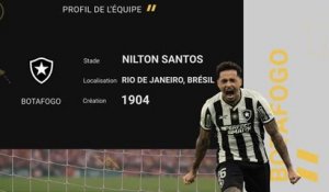 Botafogo - Le profil de l'équipe