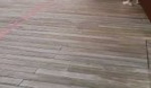 La présentation de Paul Pogba avec le maillot de l'AS Monaco - Foot - Ligue 1 - Monaco
