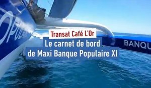 Armel Le Cléac'h : « On ne lâche rien » - Voile - Transat Café L'Or