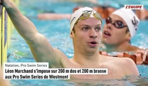 Léon Marchand s'impose sur 200 m dos et 200 m brasse aux Pro Swim Series de Westmont - Natation - Pro Swim Series