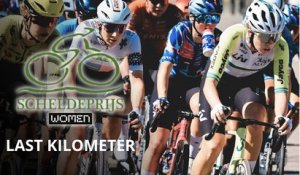 Grand Prix de l'Escaut 2026 - Charlotte Kool gagne un Scheldeprijs marqué par des chutes