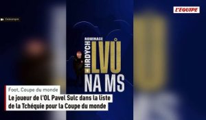 Le joueur de l'OL Pavel Sulc dans la liste de la Tchéquie pour la Coupe du monde - Foot - Coupe du monde