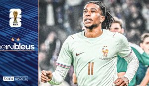 BEIN BLEUS COUPE DU MONDE (09/06)