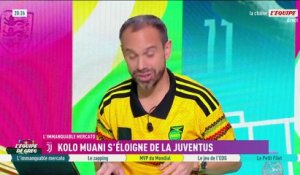Mercato : Emersonn vendu à Ipswich Town, vente record pour Toulouse - Foot - Transferts - Toulouse