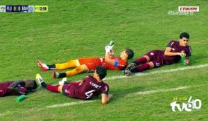 Au Brésil, une invasion d'abeilles fait interrompre un match des moins de 20 ans - Foot