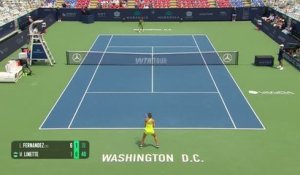 Washington - Fernandez en démonstration