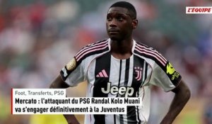 Mercato : l'attaquant du PSG Randal Kolo Muani va s'engager définitivement à la Juventus - Foot - Transferts