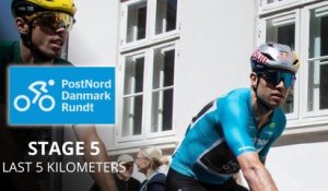 Tour du Danemark 2026 - Étape 5 - Rasmus Sojberg Pedersen la dernière étape, Wout Van Aert le général