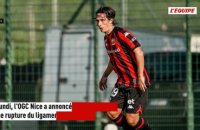 Arrivé à Nice cet été, Laurent Abergel victime d'une rupture d'un ligament croisé du genou droit - Foot - Ligue 1 - Nice