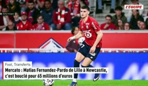 Mercato : Matias Fernandez-Pardo de Lille à Newcastle, c'est bouclé pour 65 millions d'euros - Foot - Transferts