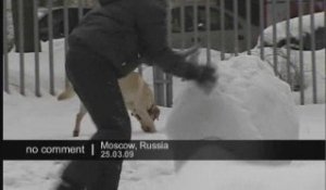 Chute de neige à Moscou