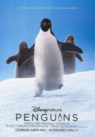 Affiche de Penguins