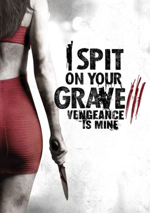 I Spit On Your Grave 3: Vengeance is Mine : Affiche