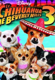 Affiche de Le Chihuahua de Beverly Hills 3 : Viva La Fiesta !