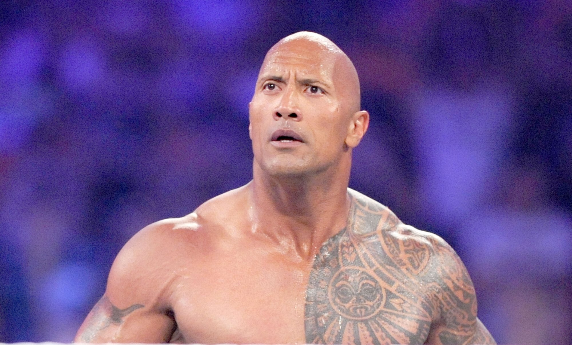 Dwayne Johnson Bientot Dans Un Film De Catch Avec Lena Headey