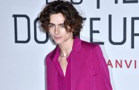 Willy Wonka : Tom Holland ou Timothée Chalamet pour diriger la chocolaterie ?