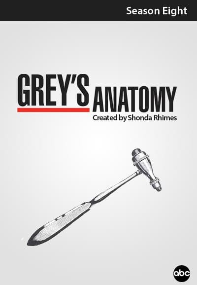 Grey's Anatomy - Saison 8