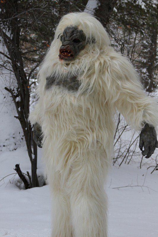 Snow Beast : Photo