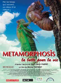 Metamorphosis, la lutte pour la vie
