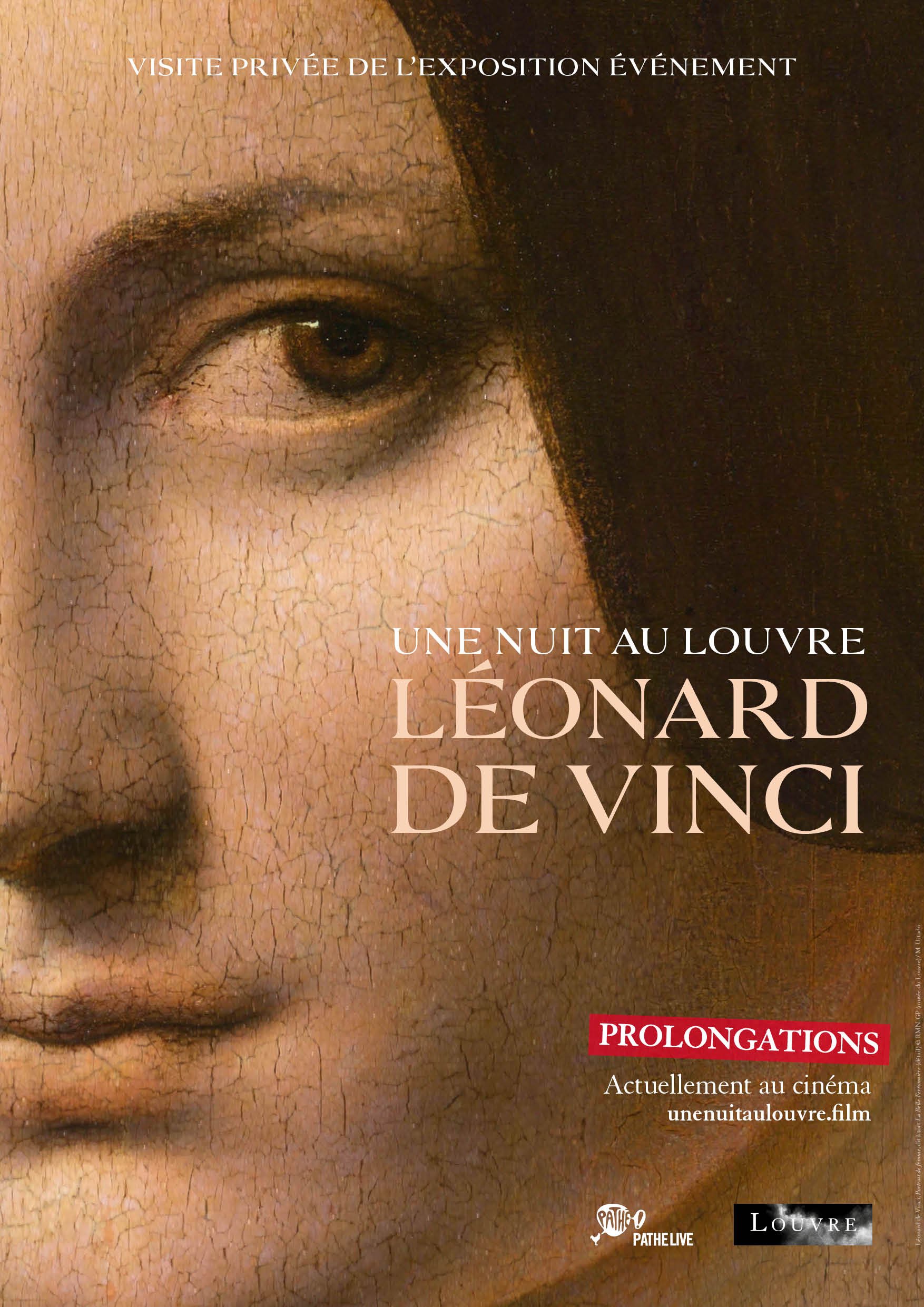 Une nuit au Louvre: Léonard de Vinci : Affiche