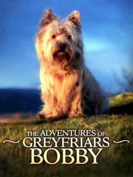 The Adventures Of Greyfriars Bobby