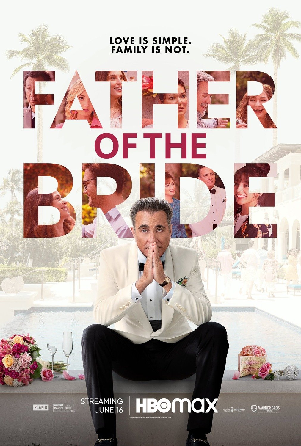 Father Of The Bride : Affiche