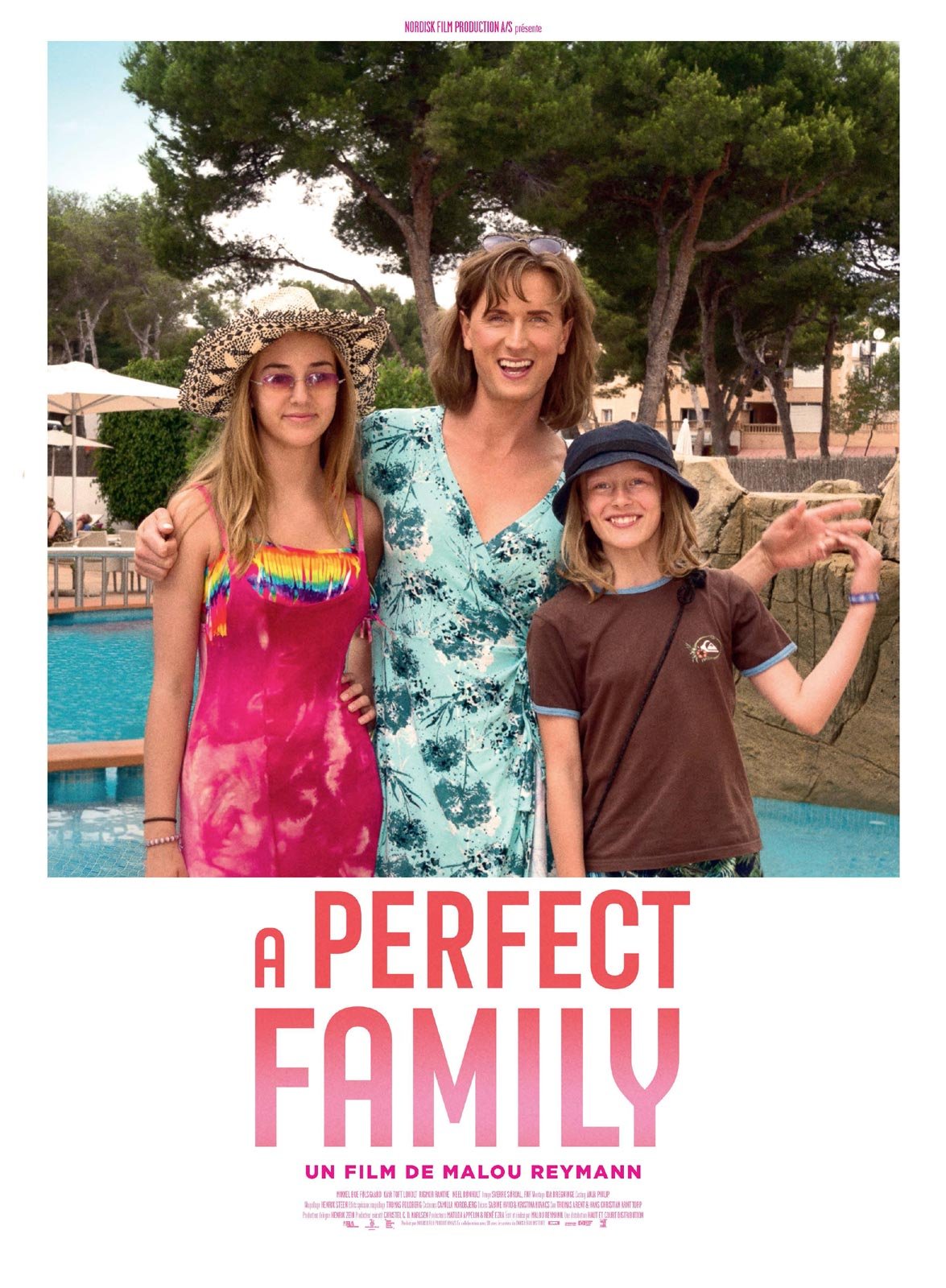 A  Perfect Family : Affiche