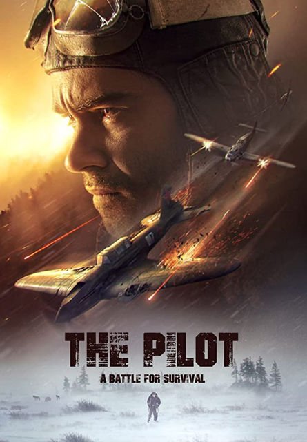 The Pilot: A Battle for Survival : Affiche