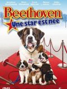 Beethoven: une star est née