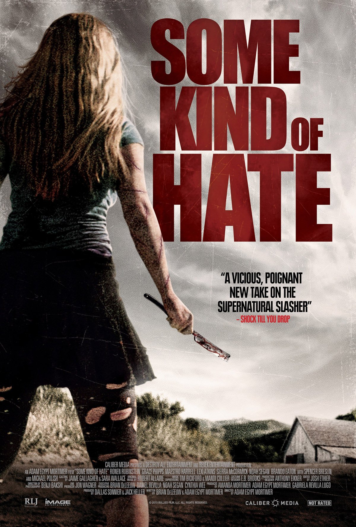Some Kind of Hate : Affiche