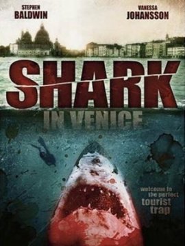 Shark In Venice