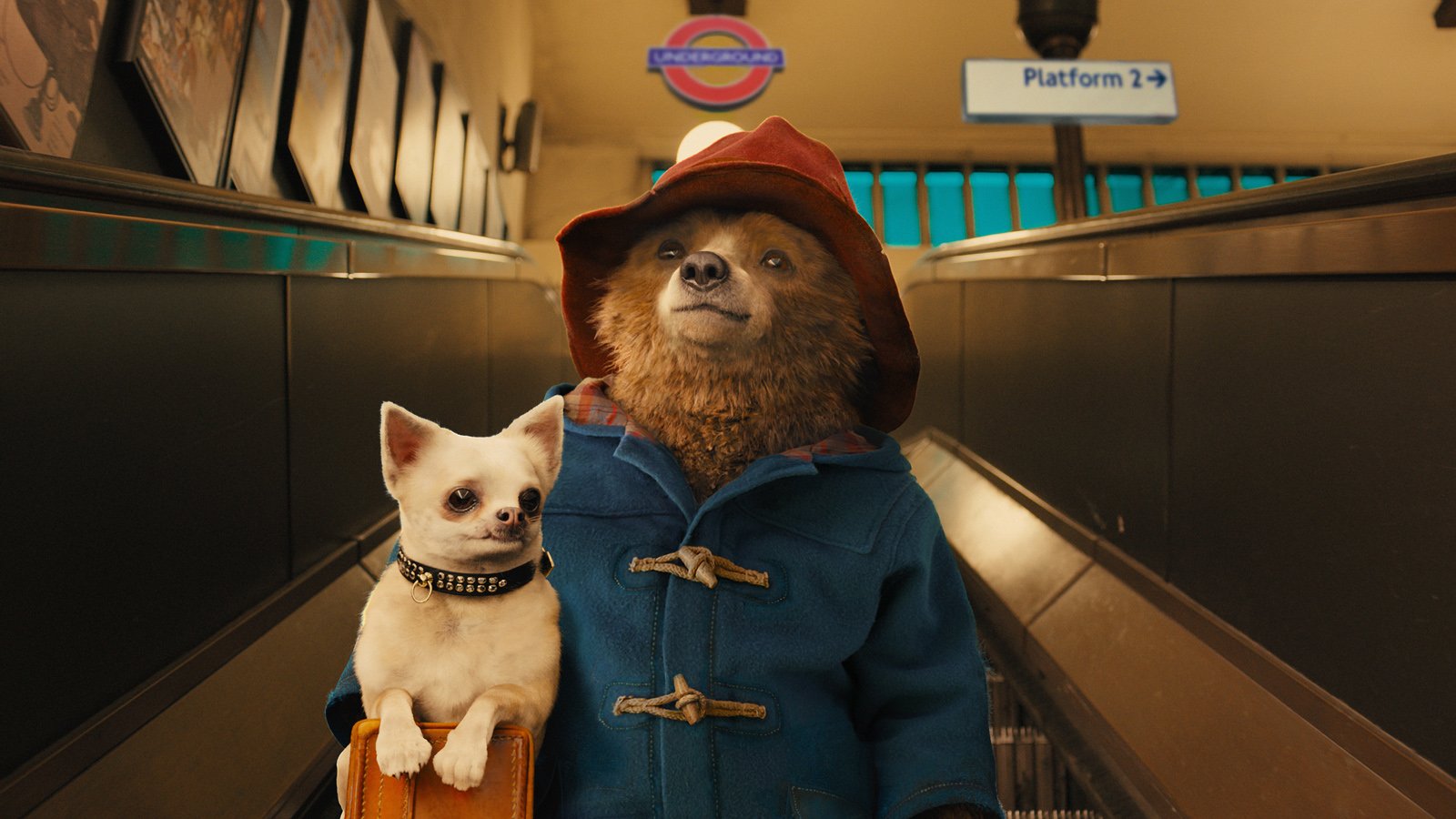 L'ours Paddington dans le film qui lui a été consacré par Paul King en 2014