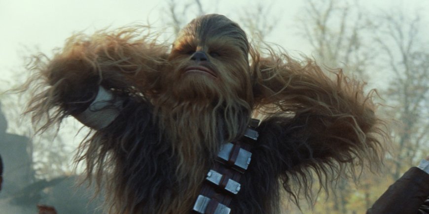 Chewbacca dans Star Wars - Le Réveil de la Force de J.J. Abrams