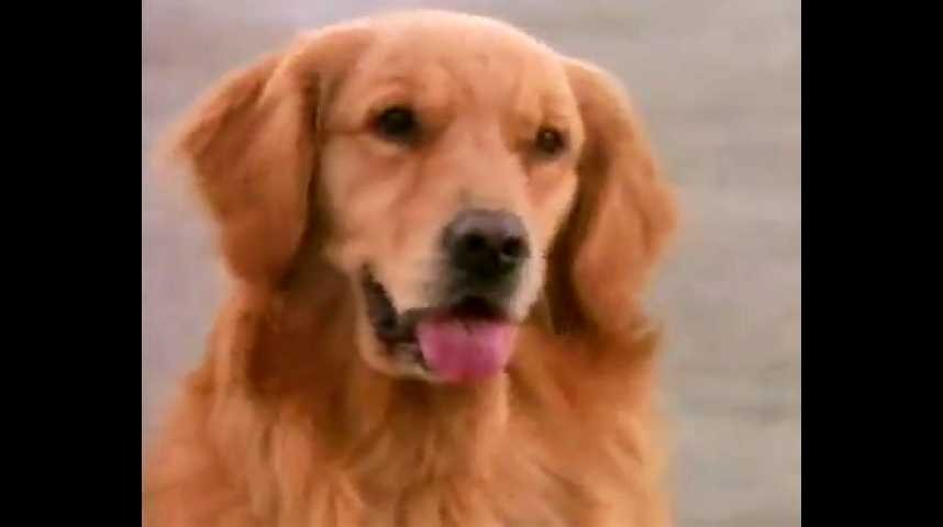 Air Bud 4 : Un chien du tonnerre - bande annonce - VO - (2002)
