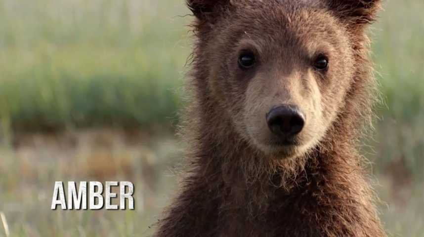 Grizzly - Bande annonce 1 - VF - (2014)