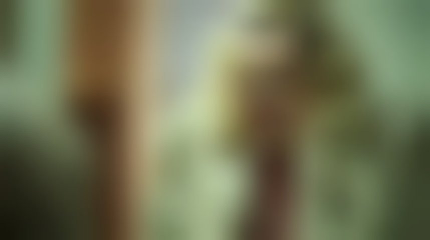 Patti Cake$ - Bande annonce 8 - VF - (2017)