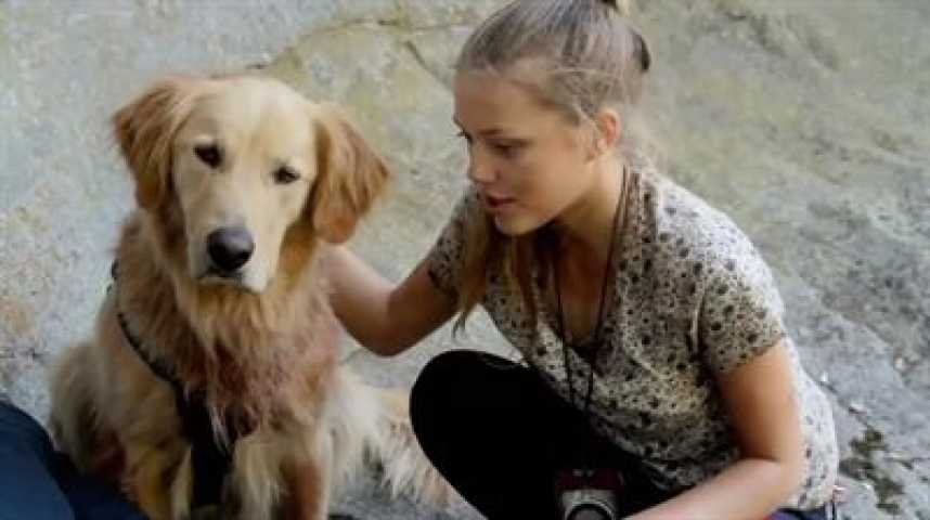 Army Dog - bande annonce - VO - (2015)