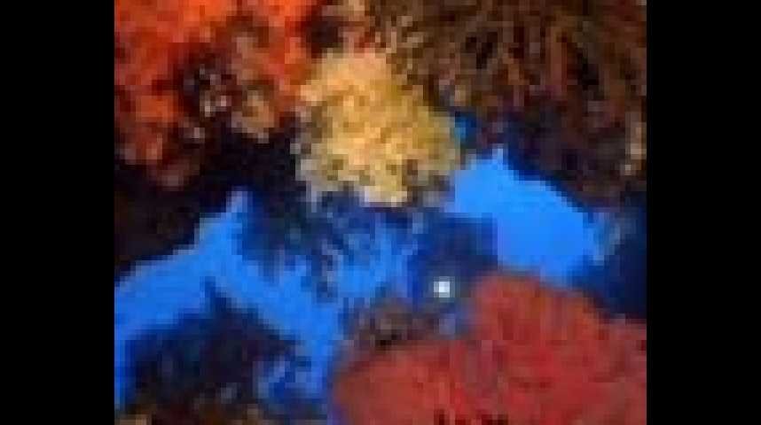 Récifs coralliens - bande annonce - VO - (2005)