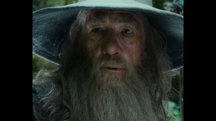 Le Hobbit : un voyage inattendu - Extrait 24 - VF - (2012)