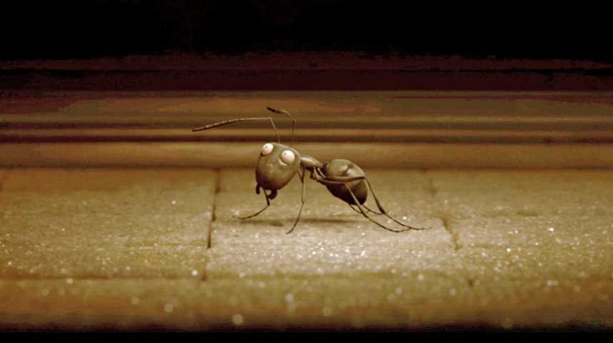 Minuscule - La vallée des fourmis perdues - Extrait 4 - VF - (2013)