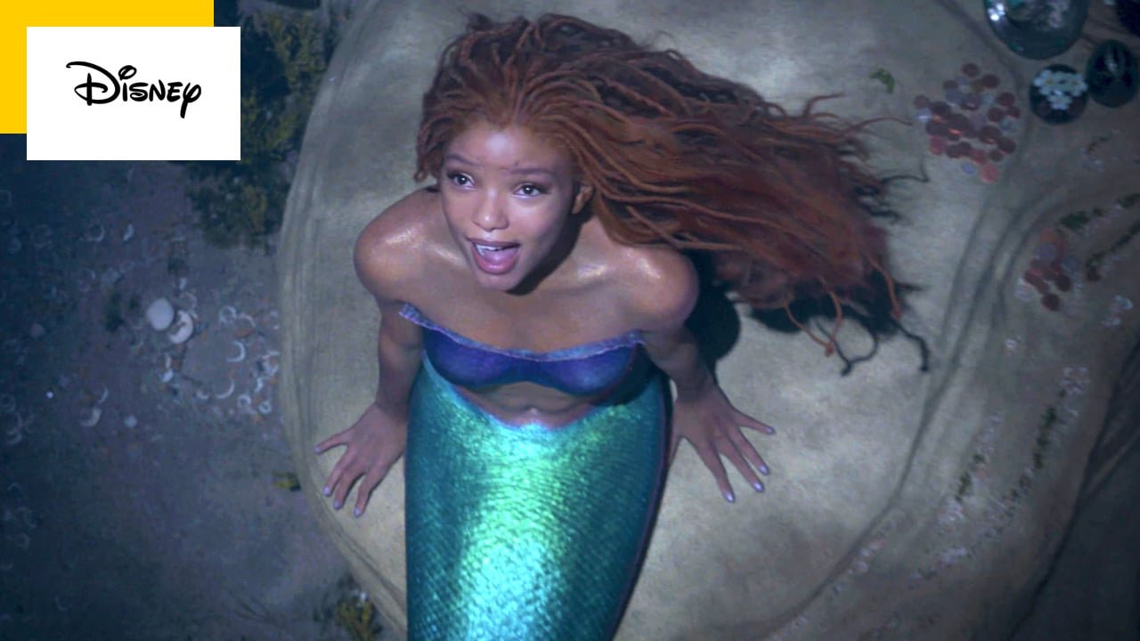 Comment Sappelle Le Crabe Dans La Petite Sirene