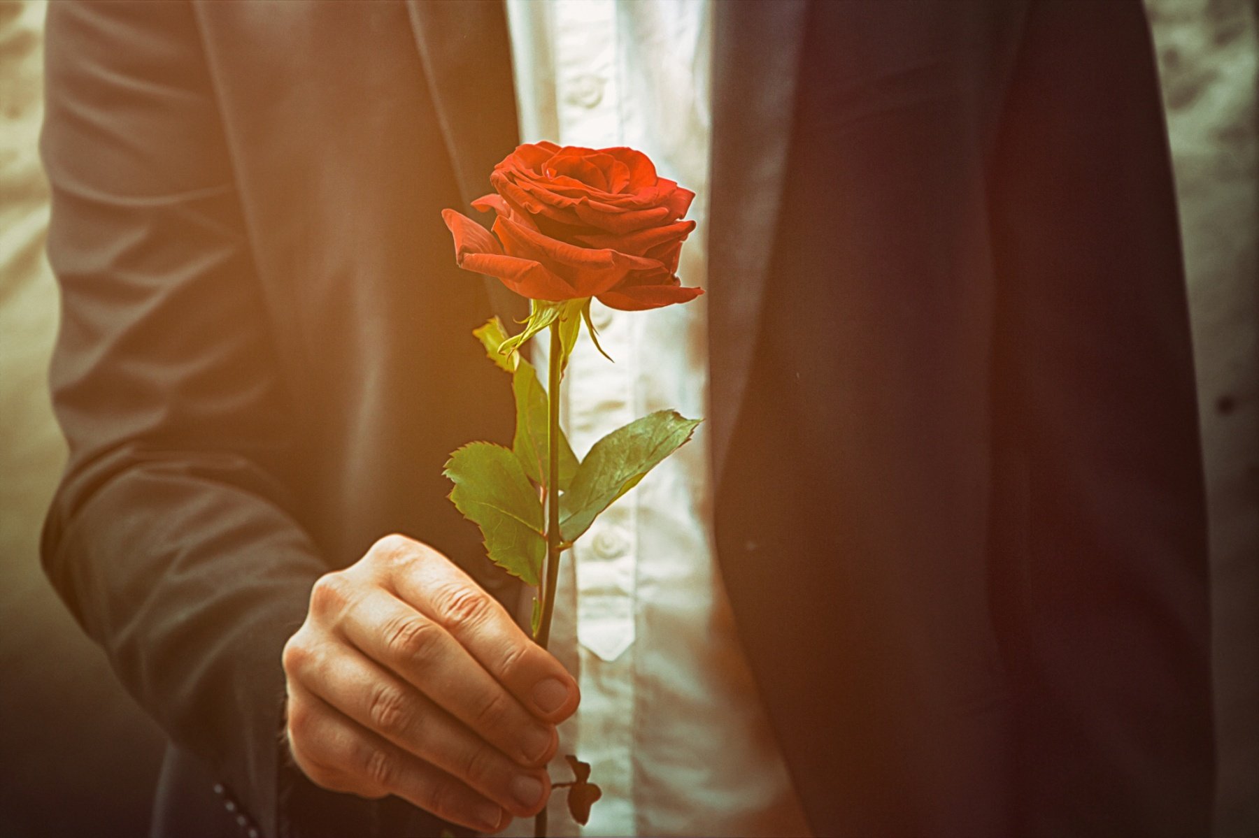 Pourquoi les roses rouges sont-elles symboliques de l'amour ?