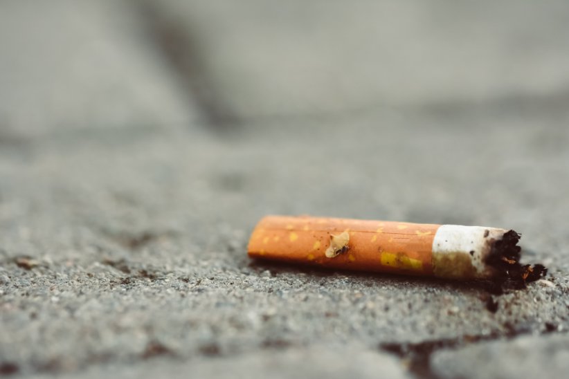 Les mégots de cigarette : 1 à 5 ans